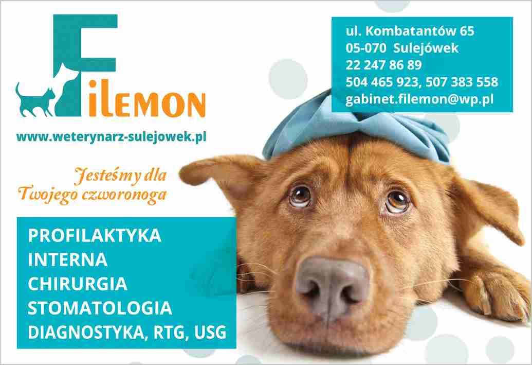 FILEMON - GABINET WETERYNARYJNY - lekarz weterynarz SULEJÓWEK lekarz weterynarz SULEJÓWEK